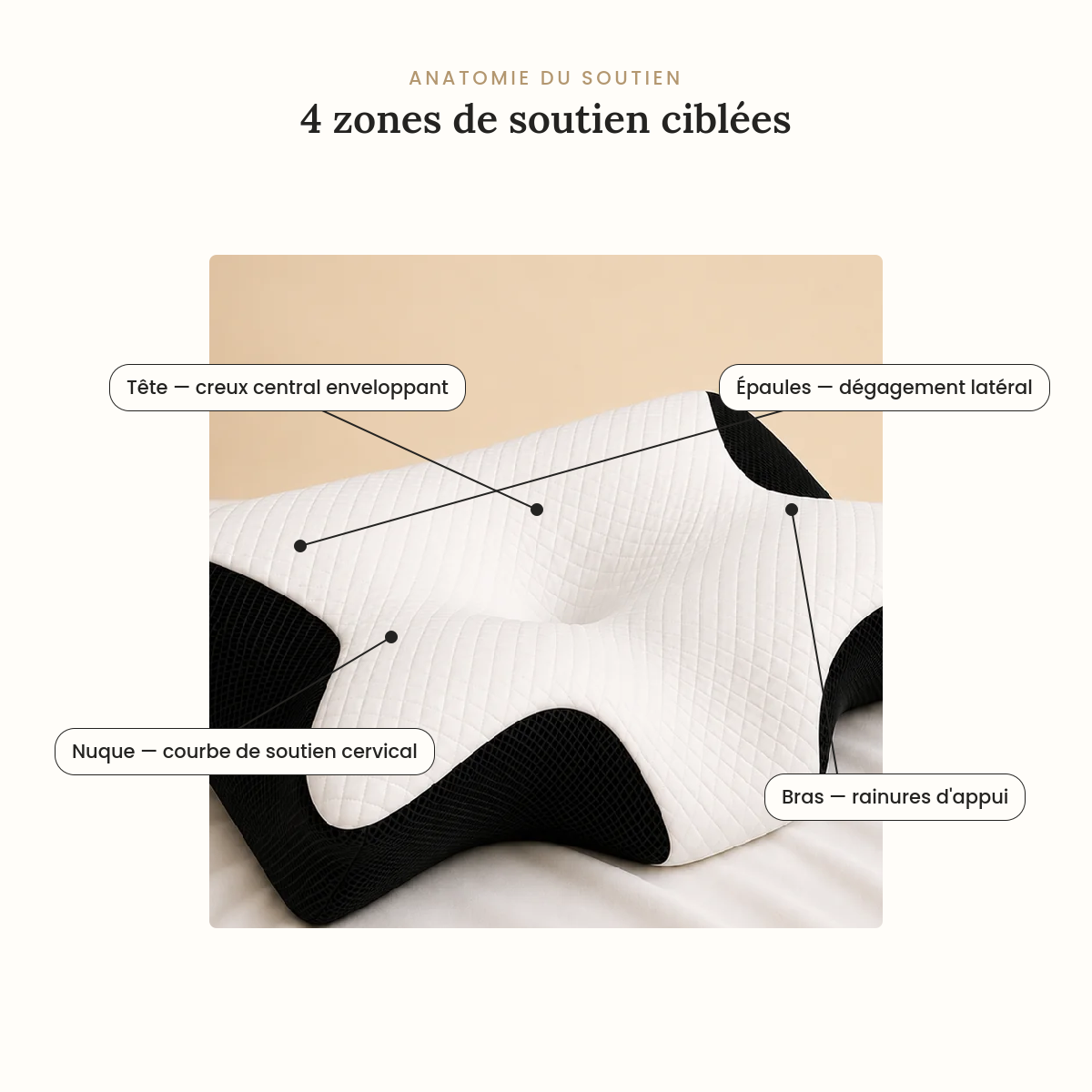 Zones de soutien de l’oreiller cervical ergonomique ELUNIS